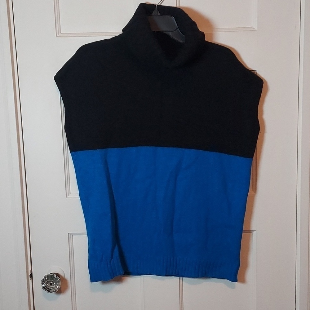 Ann Taylor Colorblock Turtleneck Cap Sleeve Sweater